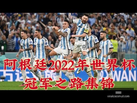 莫吉,伊布非凡出,未来有望成,开云全站官网,开云全站,开云体育,开云代理,开云平台