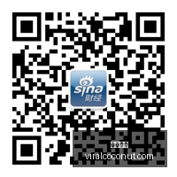 专家,曼城降级风,损失恐超,开云全站官网,开云全站,开云体育,开云代理,开云平台